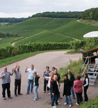 Lemberger Express | Planwagen- und Weinbergrundfahrten | Brackenheim | © Weinkonvent Dürrenzimmern