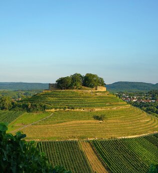 Burgruine Weibertreu | Weinsberg | HeilbronnerLand