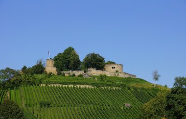 Justinus Kerner & Friends