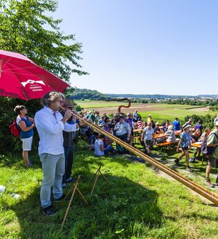 Weinterrasse Kirchheim | Weingärtner Stromberg-Zabergäu | HeilbronnerLand | © Weingärtner Stromberg-Zabergäu