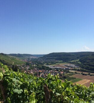 Kochertaler Genießertour - Wein, Wandern und Schlemmen in den Weinbergen | © Touristikgemeinschaft Hohenlohe e. V. | Marion Schlund