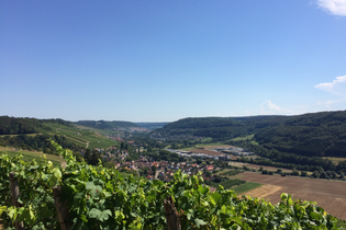 Kochertaler Genießertour - Wein, Wandern und Schlemmen in den Weinbergen | © Touristikgemeinschaft Hohenlohe e. V. | Marion Schlund