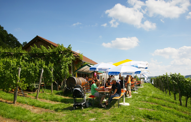 Eine Gruppe sitzt im Weinberg unter Sonnnenschirmen | © Touristikgemeinschaft Hohenlohe e. V. | Weingut Gaufer