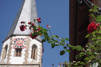 Jakobus Stadtkirche Brackenheim