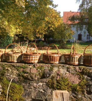 Korbflechten mit Weide