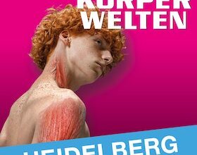 KÖRPERWELTEN | Heidelberg | Tagesticket