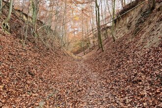 Kraichgau: Hohlwege und mehr
