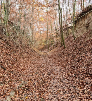 Kraichgau: Hohlwege und mehr