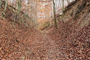 Kraichgau: Hohlwege und mehr