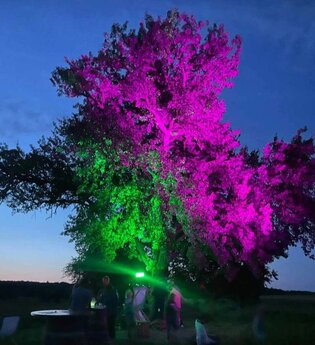 Kraichgau Wein & Beats