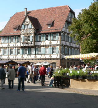 Kräuter- und Erntemarkt Maulbronn | © Stadt Maulbronn