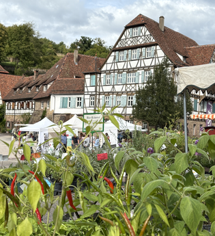 Kräuter- und Erntemarkt Maulbronn | © Stadt Maulbronn