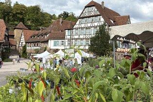 Kräuter- und Erntemarkt Maulbronn | © Stadt Maulbronn