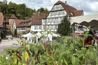 Kräuter- und Erntemarkt Maulbronn | © Stadt Maulbronn