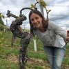 Tamara Kühner | Wildpflanzenpädagogin | im Weinberg