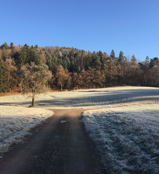 Winterwege mit Schnee | © Touristikgemeinschaft Hohenlohe e. V. | Natur- und Landschaftsführer Hohenlohe e. V.