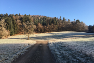 Winterwege mit Schnee | © Touristikgemeinschaft Hohenlohe e. V. | Natur- und Landschaftsführer Hohenlohe e. V.