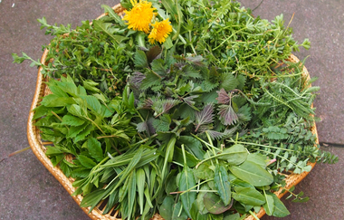 Kräutersud und feine Düfte | © Stadt Calw_Roswitha Hild