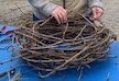 Kreativ im Weingut im Advent