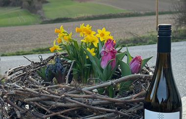 Kreativ im Weingut | © Frieder Nägele