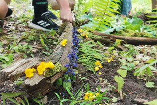 Kreativer Waldspaziergang in Heidelberg | © Naturakademie Heidelberg