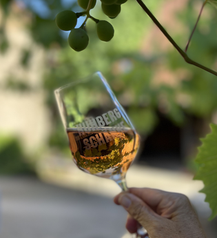 Kuhberg - Schänke | Bachenau | Gundelsheim | © Weinbau Mühlbeyer