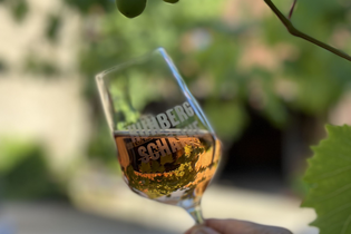 Kuhberg - Schänke | Bachenau | Gundelsheim | © Weinbau Mühlbeyer