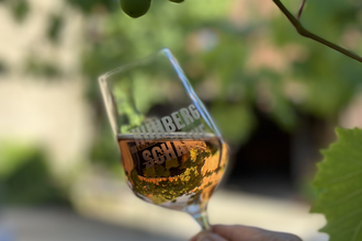 Kuhberg - Schänke | Bachenau | Gundelsheim | © Weinbau Mühlbeyer