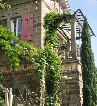Kunst, Wein und Musik im Schlössle | © Weinmanufaktur Feucht