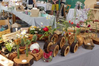Marktstand, mit dekorativen Blumen und Kakteen verziehrte Baumscheiben. | © Gemeinde Blaufelden