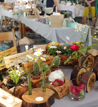 Marktstand, mit dekorativen Blumen und Kakteen verziehrte Baumscheiben. | © Gemeinde Blaufelden
