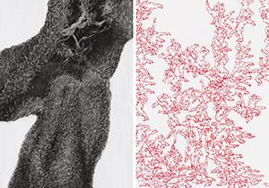 Künstlerresidenz Dilsberg: Ausstellung der Stipendiaten Nadja Schöllhammer und Peter Hock | © Bild der Ausstellungsstücke (Foto: Eric Tschernow)