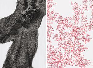 Künstlerresidenz Dilsberg: Ausstellung der Stipendiaten Nadja Schöllhammer und Peter Hock | © Bild der Ausstellungsstücke (Foto: Eric Tschernow)