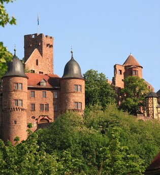 Kunstsommer Burg Wertheim: Gruppenausstellung "Entsprungen" | © TOURISMUS REGION WERTHEIM GmbH