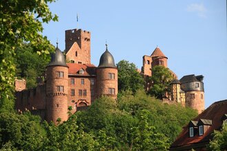 Kunstsommer Burg Wertheim: Gruppenausstellung "Entsprungen" | © TOURISMUS REGION WERTHEIM GmbH