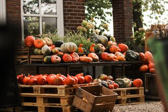 Kürbisfest und Tag der offenen Tür | Gläserne Produktion 2026 | © Hof am Hochwald