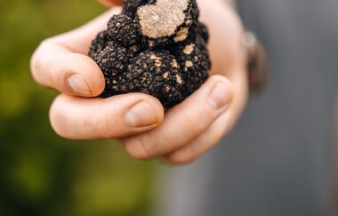 La Chasse aux Truffes – Die Trüffeljagd à Pierre | © Cher Pierre Trüffel