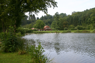 Der See ist von einer Wiese und Bäumen umgeben | © Touristikgemeinschaft Hohenlohe e. V. | Susanne Schleussner
