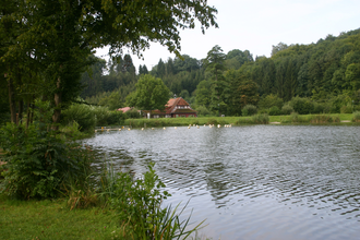 Der See ist von einer Wiese und Bäumen umgeben | © Touristikgemeinschaft Hohenlohe e. V. | Susanne Schleussner