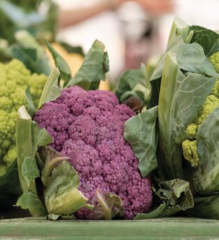 Lagergemüse-Erntetag - Solidarische Landwirtschaft Schloss Tempelhof | © TMBW