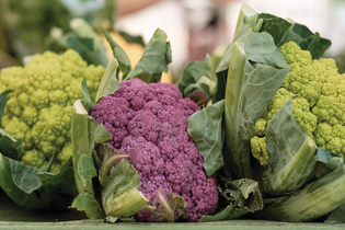 Lagergemüse-Erntetag - Solidarische Landwirtschaft Schloss Tempelhof | © TMBW