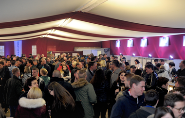 Menschen stoßen auf dem Weinfest an | © Lauffener Weingärtner