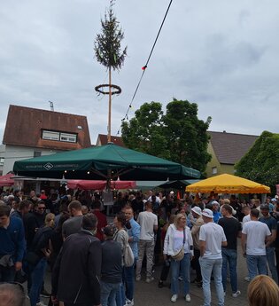 Festbetrieb der Genossenschaftskellerei Heilbronn in Lehrensteinsfeld | © Genossenschaftskellerei Heilbronn eG