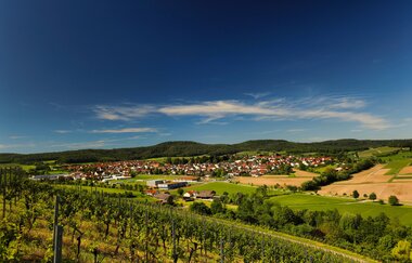 Lehrensteinsfeld Ortsansicht | HeilbronnerLand | © Gemeinde Lehrensteinsfeld | Berroth