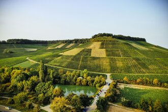 Mönchsbergsee mit Weinausschank vom Weinkonvent Dürrenzimmern | Brackenheim | HeilbronnerLand | © Weinkonvent Dürrenzimmern