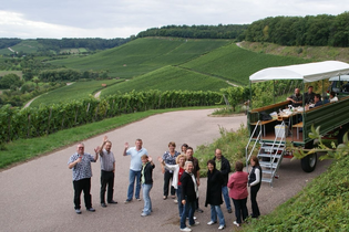 Lemberger Express | Planwagen- und Weinbergrundfahrten | Brackenheim | © Weinkonvent Dürrenzimmern