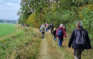 Main, Wald und Weitsicht- Taubertäler Wandertage in Freudenberg | © Stadt Freudenberg
