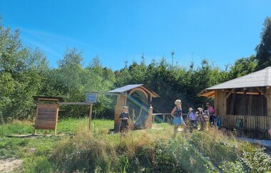 Main, Wald und Weitsicht- Taubertäler Wandertage in Freudenberg