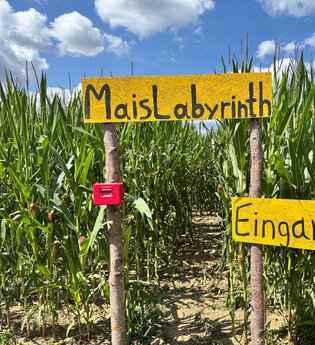 Maislabyrinth | Bad Friedrichshall | © Ferienregion Nördlicher Bodensee