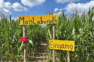 Maislabyrinth | Bad Friedrichshall | © Ferienregion Nördlicher Bodensee